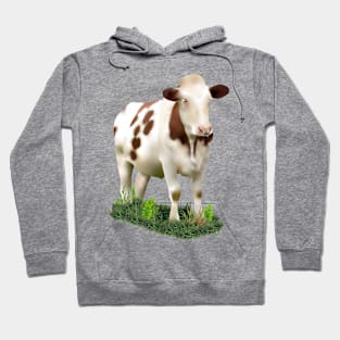 Cow In A Patch Of Grass Hoodie